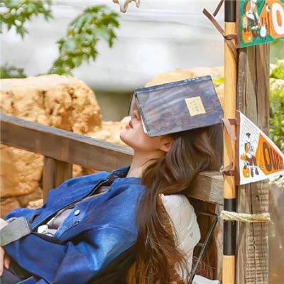 我的万人迷总裁老婆